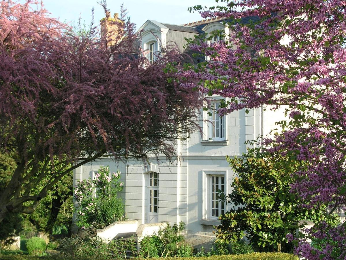 Le Chat Courant Villandry Zewnętrze zdjęcie